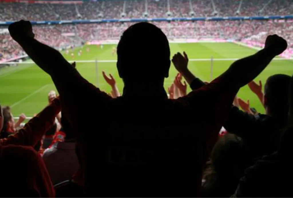 Fans cheering in a packed football stadium, silhouetted against the bright green pitch.